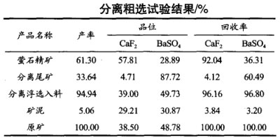 分離粗選試驗結果